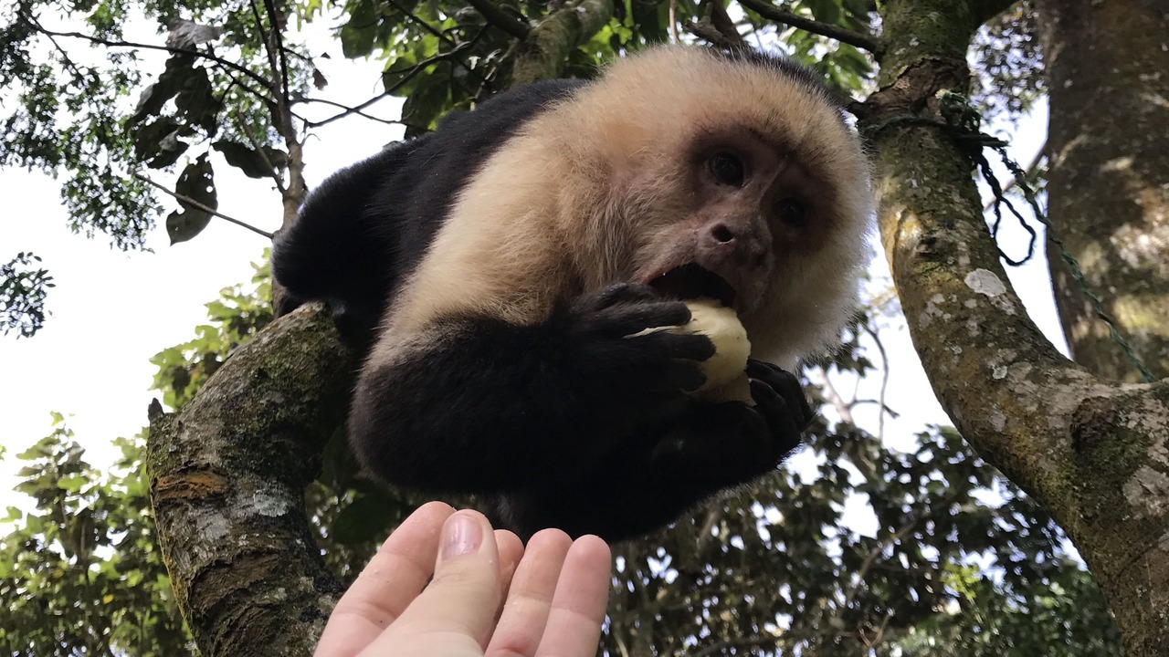 Photo of Outdoor in Monteverde