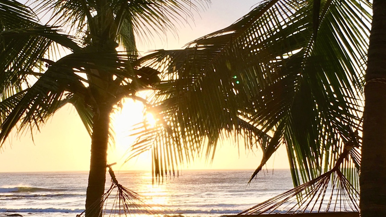Photo of Others in Tamarindo