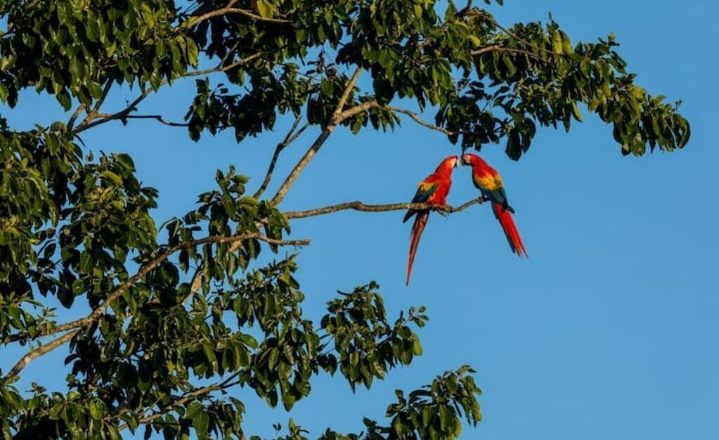 Photo of Others in Chontales