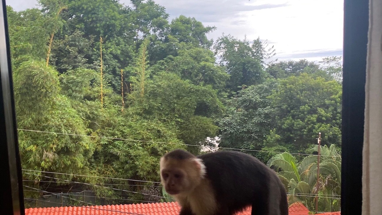 Photo of Others in Manuel Antonio