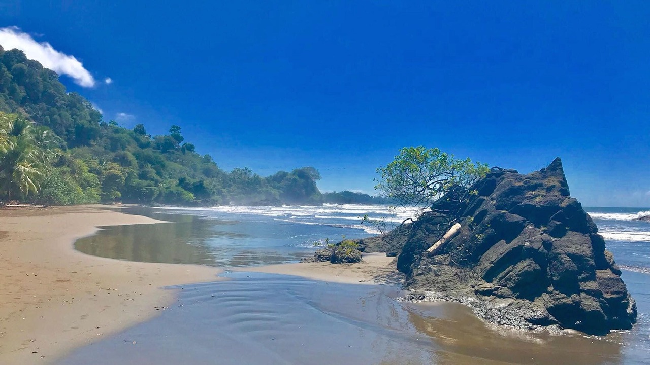Photo of Others in Dominical