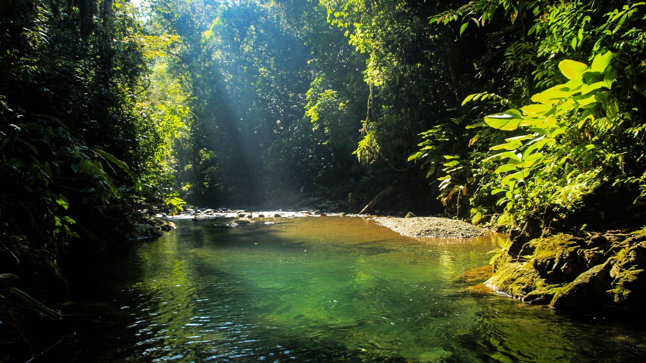 Photo of Others in Sierpe
