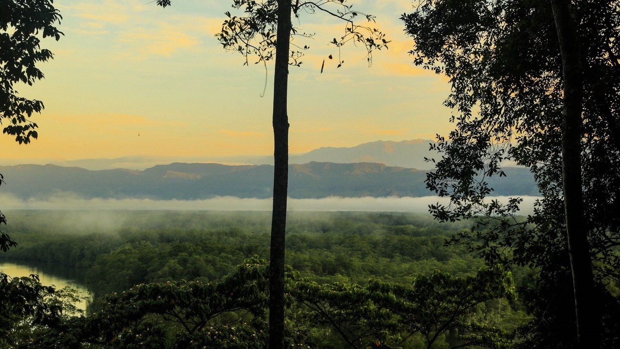 Photo of Others in Sierpe