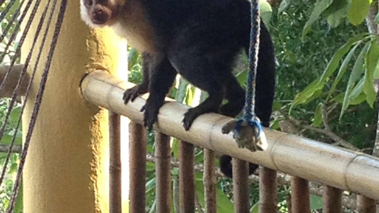 Photo of Outdoor in Montezuma