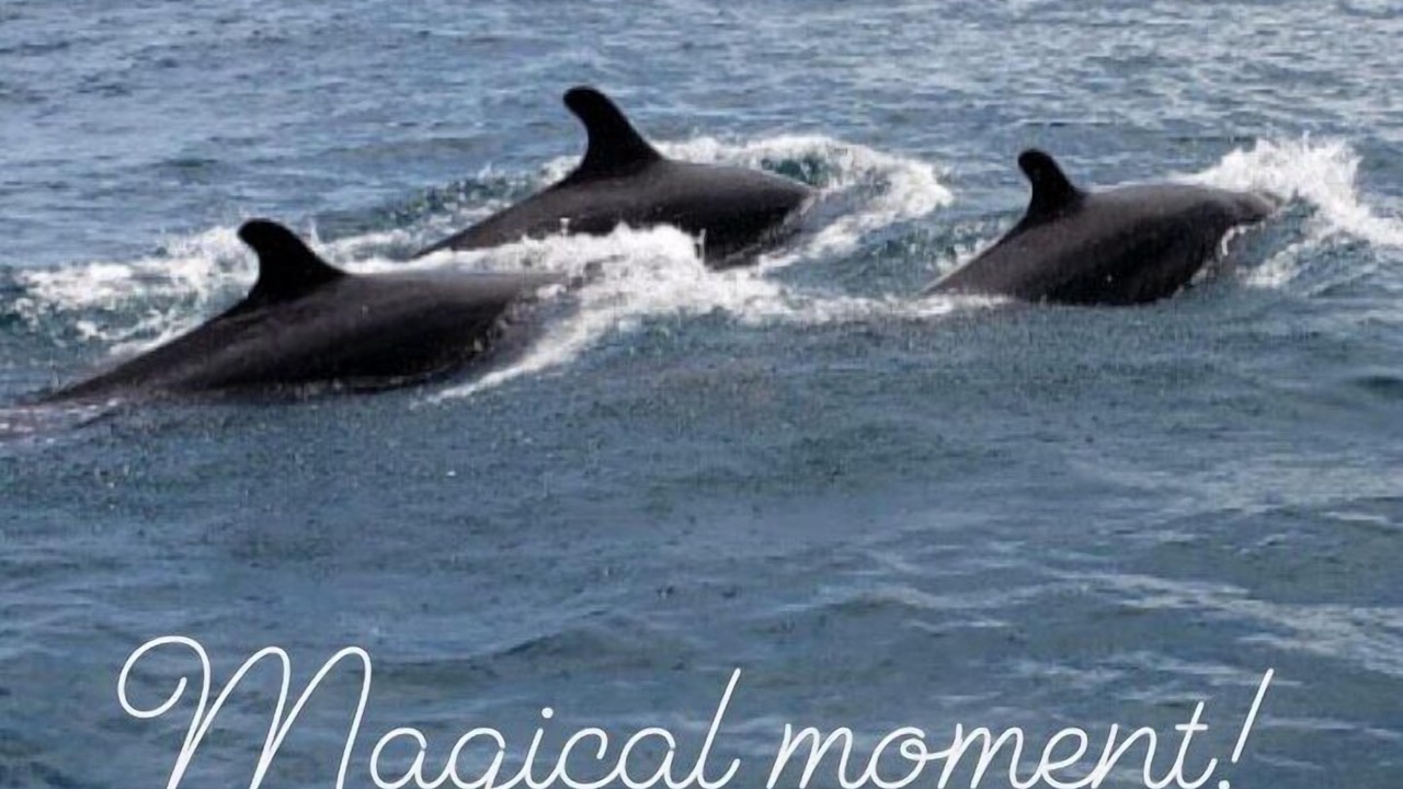Photo of Others in Montezuma