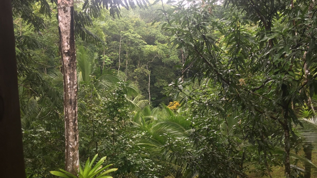 Photo of Outdoor in Parrita
