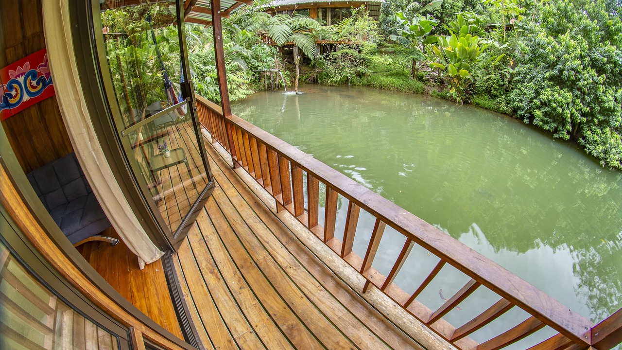 Photo of Livingroom in Penas Blancas