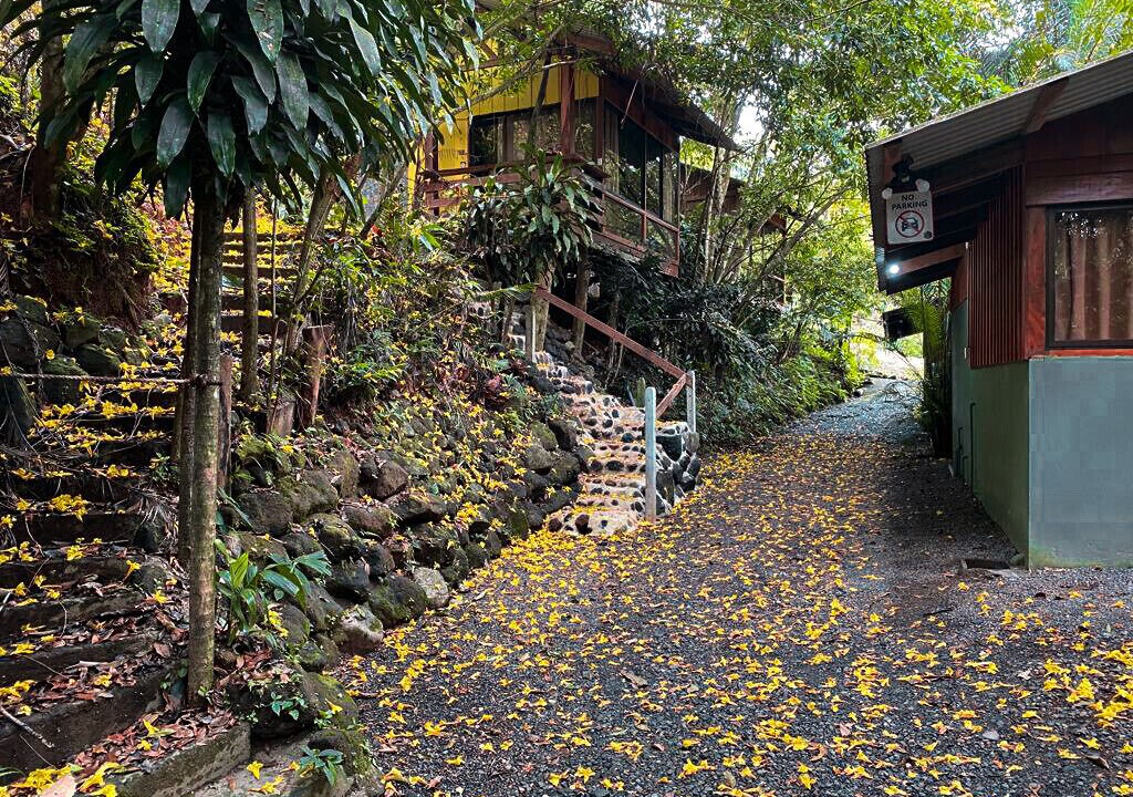 Photo of Outdoor in Penas Blancas