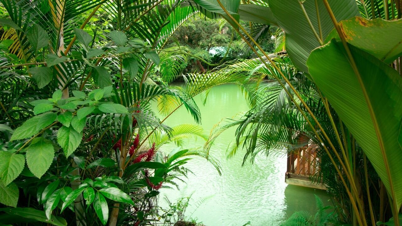 Photo of Patio Balcony in Penas Blancas