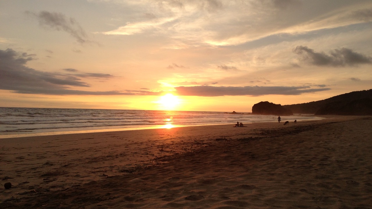 Photo of Others in Playa Grande