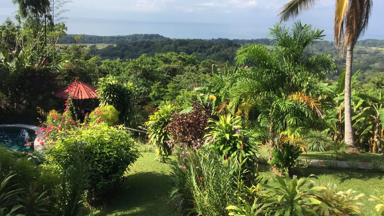 Photo of Outdoor in Hatillo