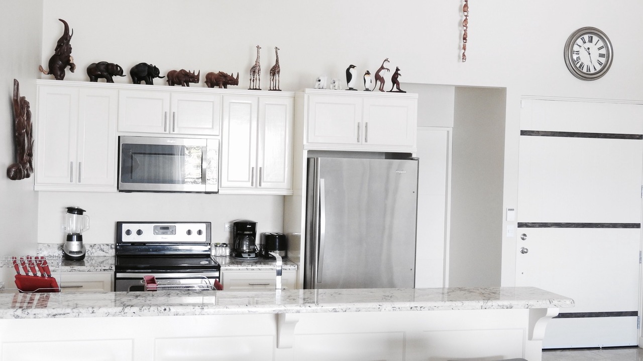 Photo of Kitchen in Manuel Antonio