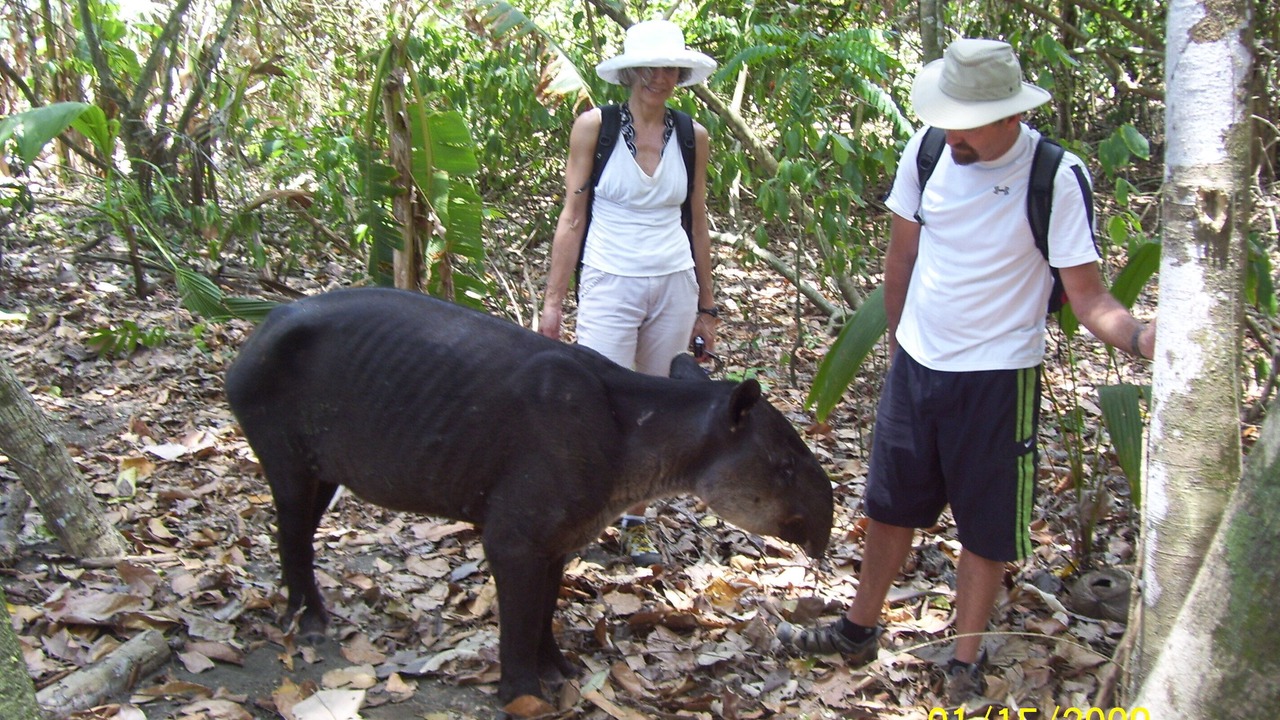 Photo of Outdoor in Cabo Matapalo