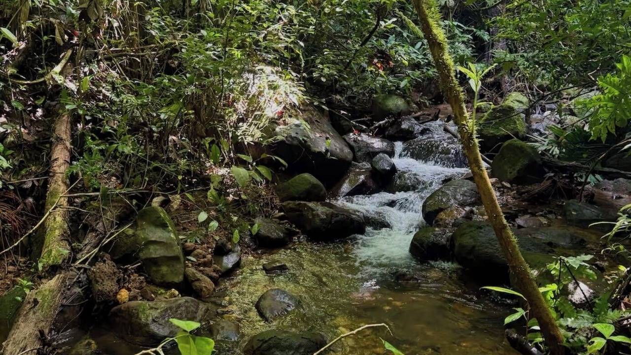 Photo of Others in La Fortuna