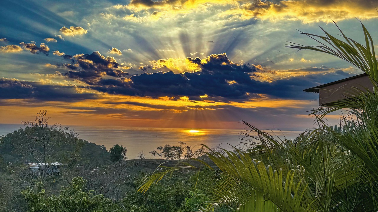 Photo of Outdoor in Quepos