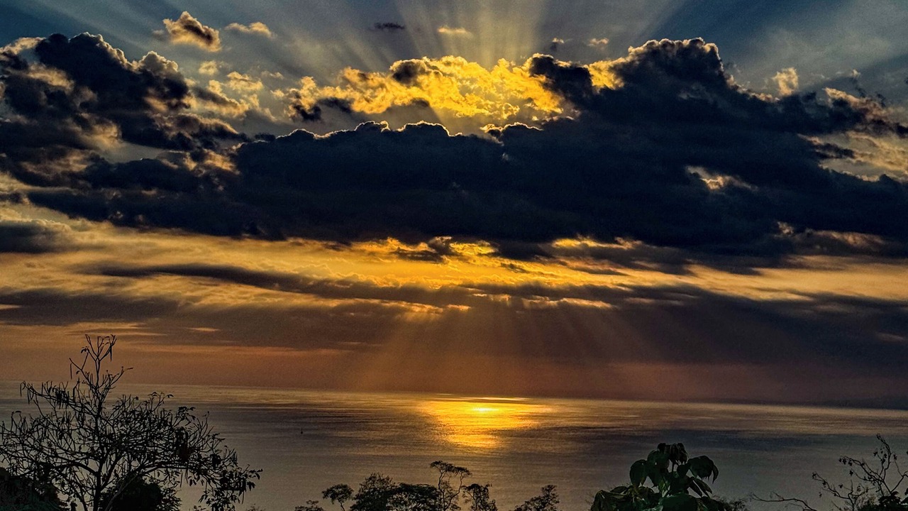 Photo of Others in Quepos