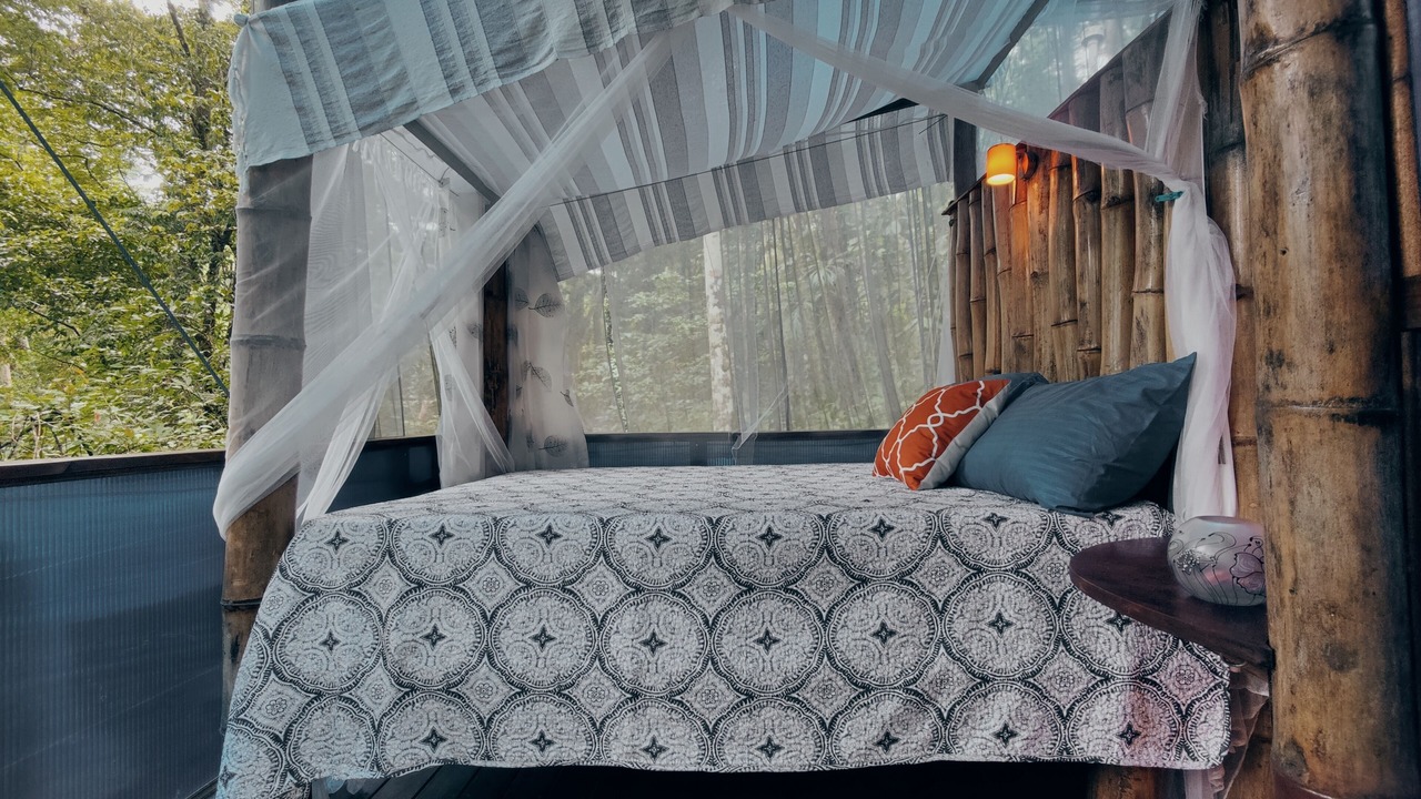 Photo of Bedroom in Cocles