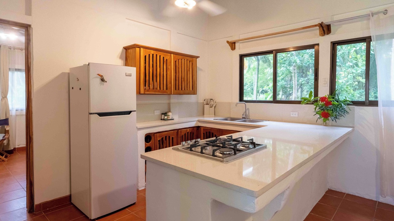 Photo of Kitchen in Parrita