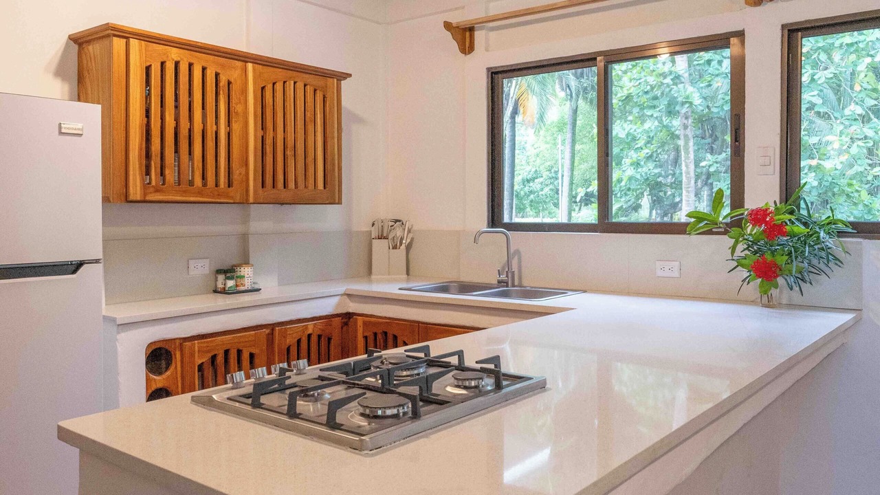 Photo of Kitchen in Parrita