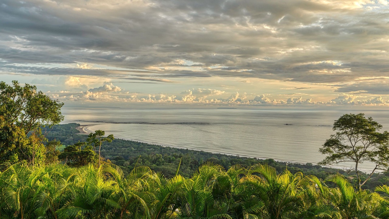 Photo of Others in Uvita