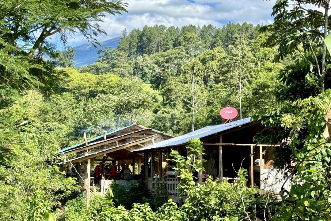 Photo of Others in Pacuare Reserve